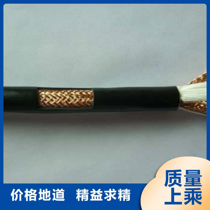 計算機電纜屏蔽電纜工期短發貨快