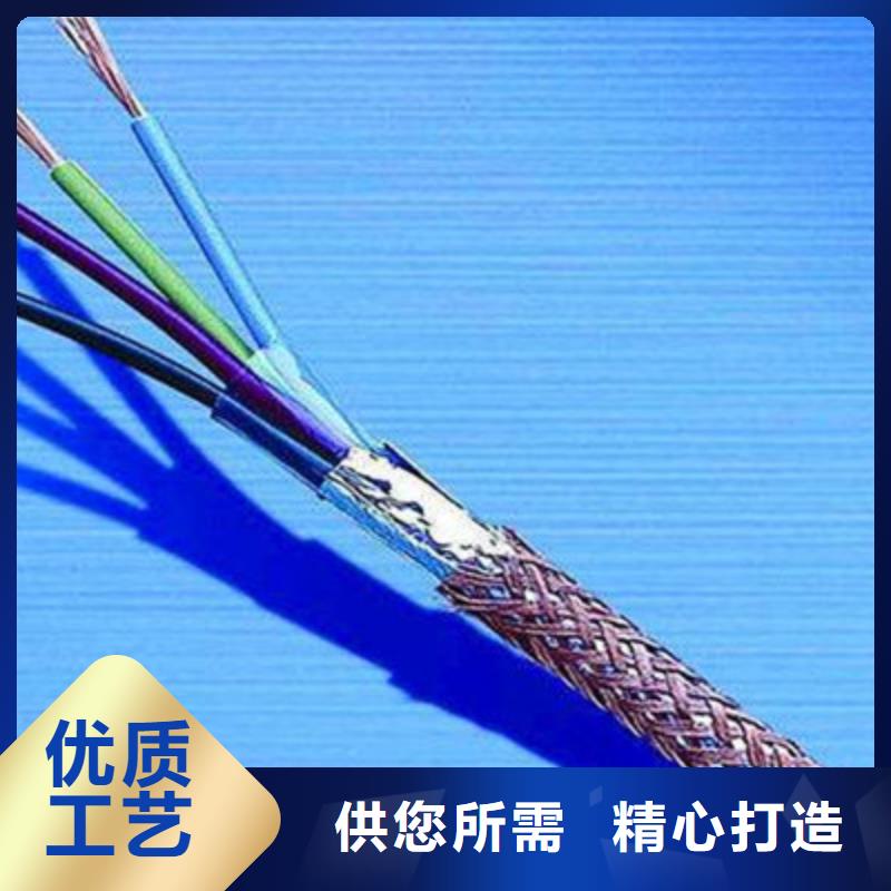 計算機電纜【屏蔽電纜】自營品質(zhì)有保障