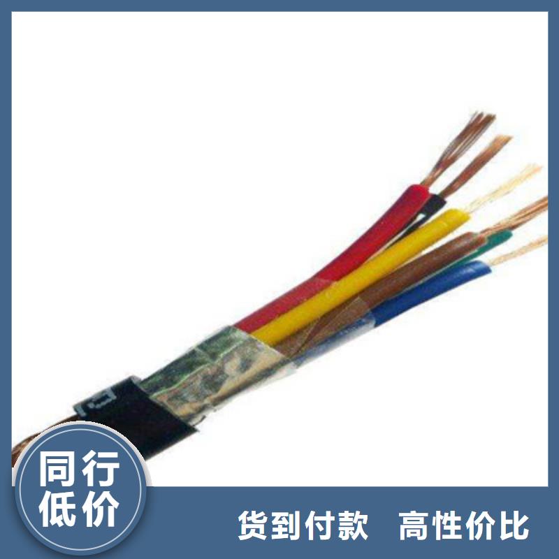 計(jì)算機(jī)電纜_【屏蔽電纜】您身邊的廠家