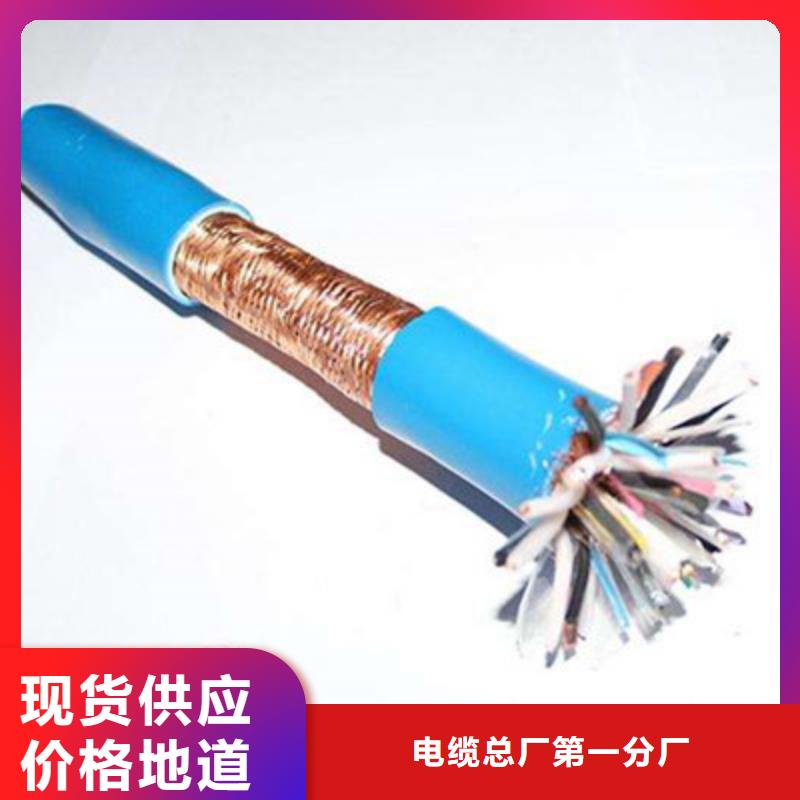 計(jì)算機(jī)電纜屏蔽電纜工期短發(fā)貨快