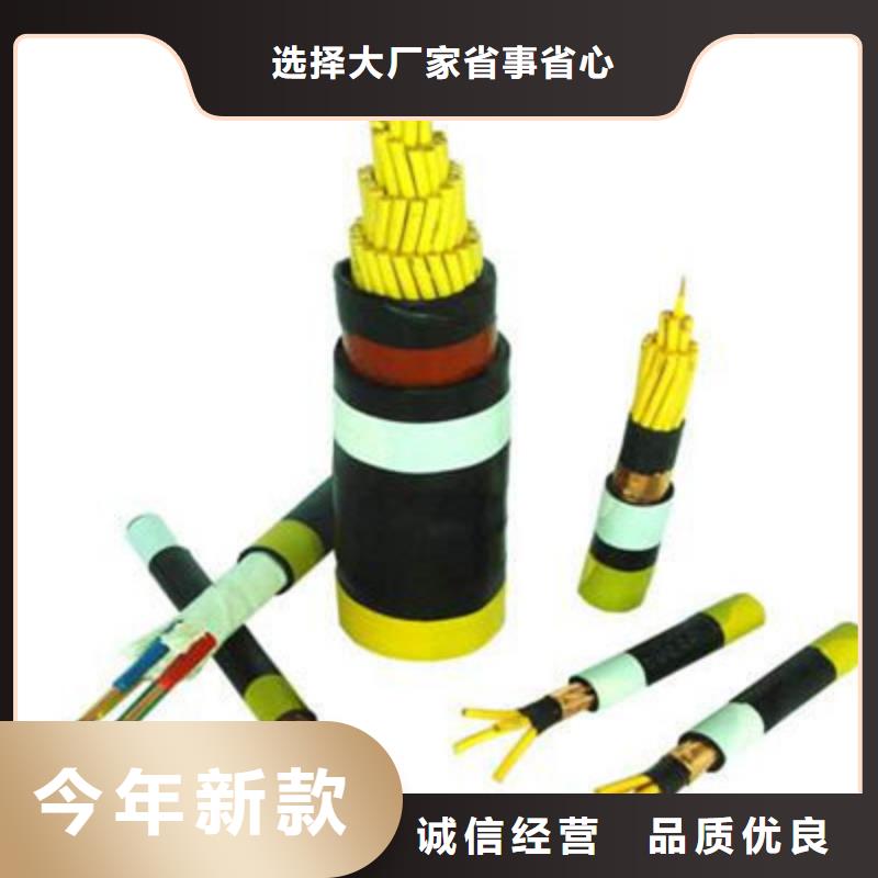 控制電纜通信電纜品種全