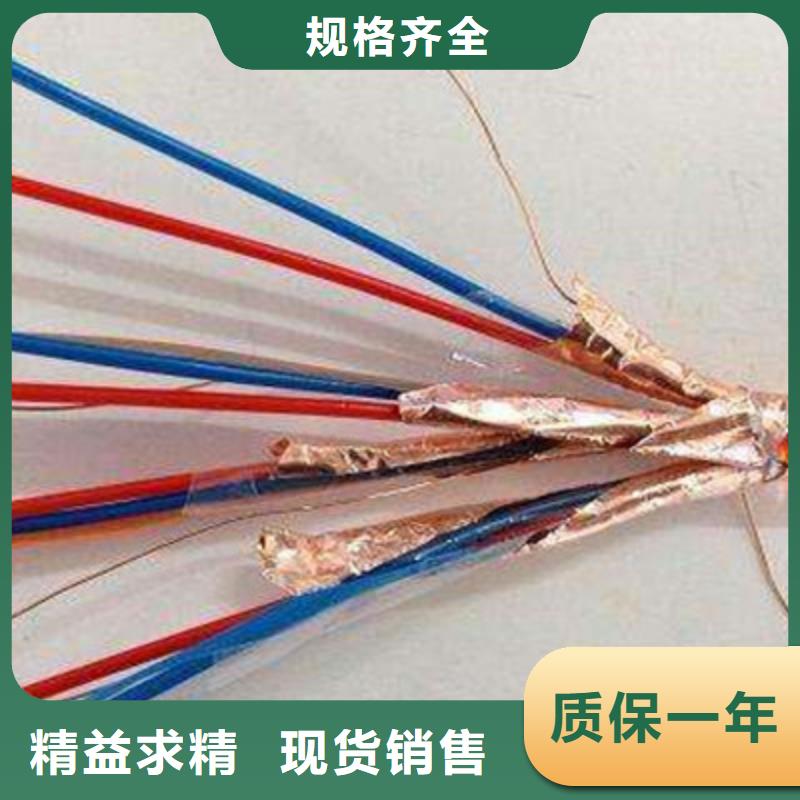 耐高溫電纜_屏蔽電纜正規廠家