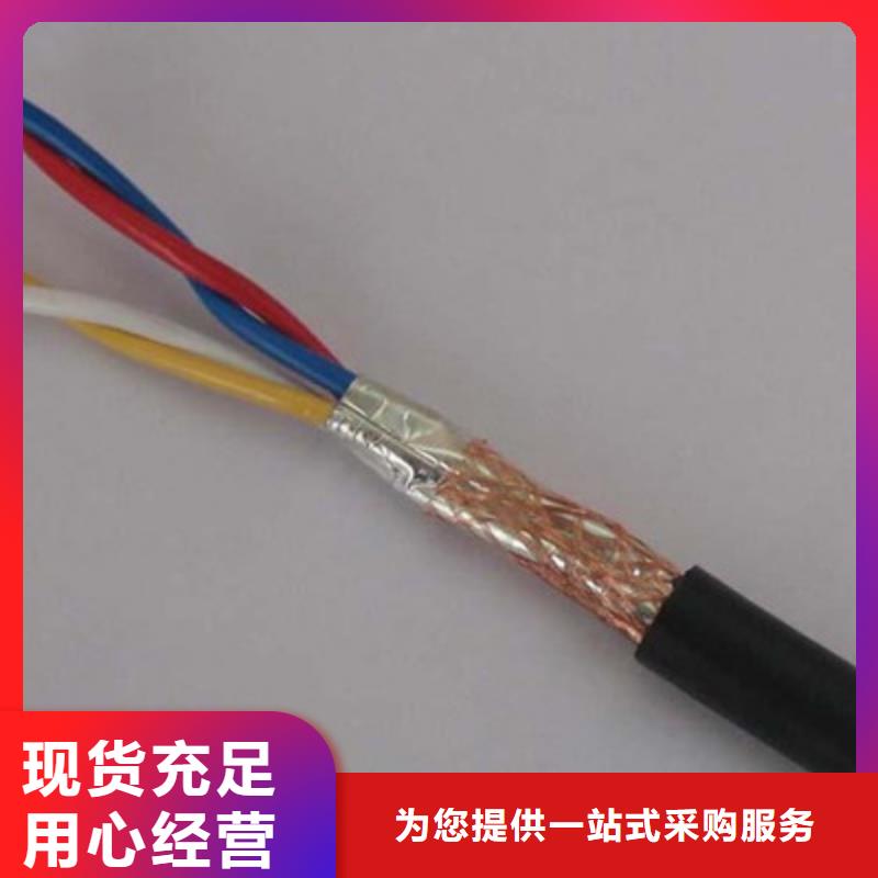 耐高温电缆DJFP2屏蔽型定制价格