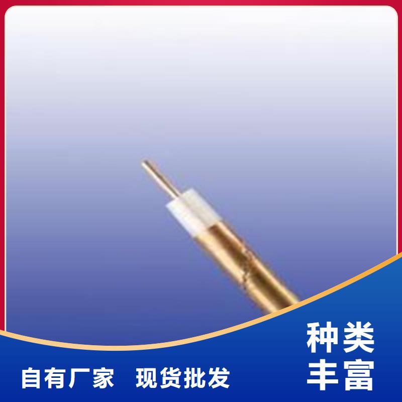 精选选购[电缆]特种型号射频线SYWV22厂家