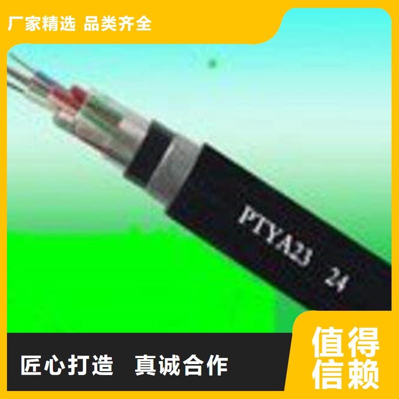 鐵路信號電纜屏蔽電纜供您所需