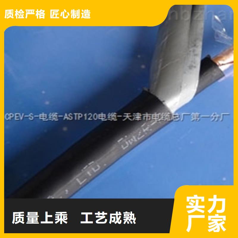 鐵路信號電纜信號電纜滿足客戶需求