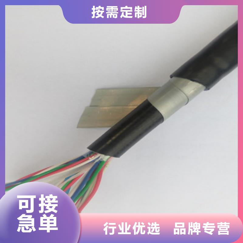 鐵路信號電纜信號電纜滿足客戶需求