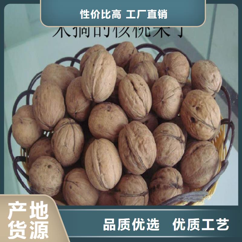 核桃苗蘋果苗源頭廠家