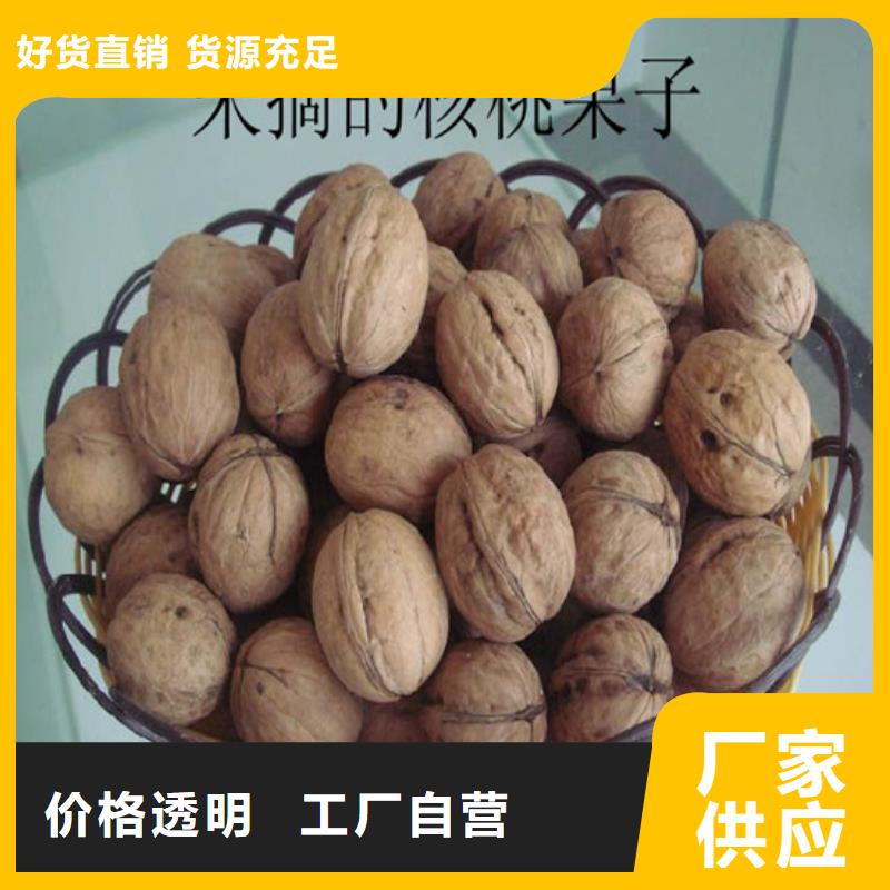 【核桃苗梨樹苗基地現貨交易】