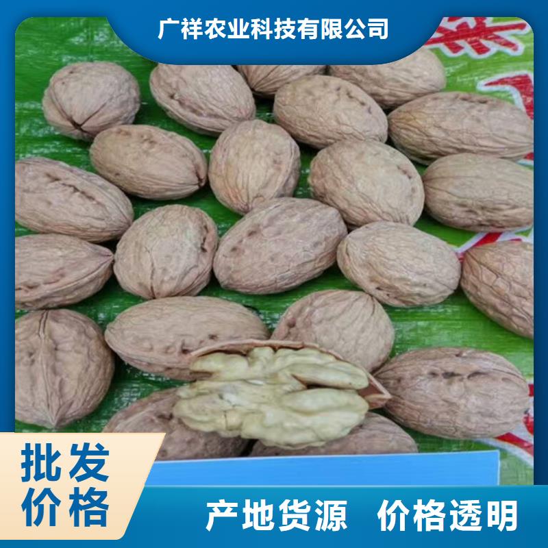 核桃苗紅油香椿樹苗追求細節品質