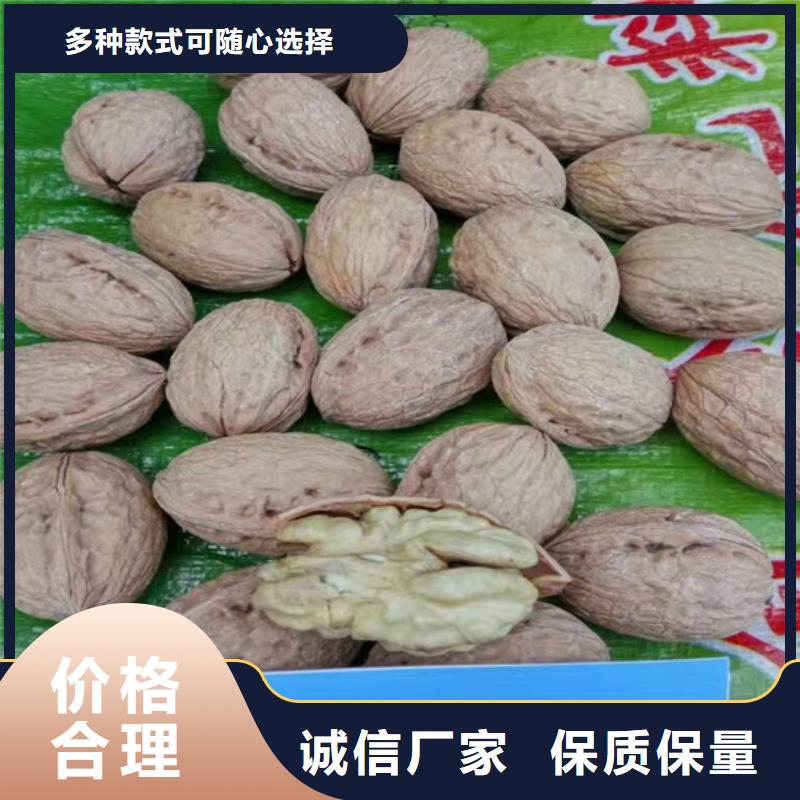 核桃苗_櫻桃苗基地制造生產銷售