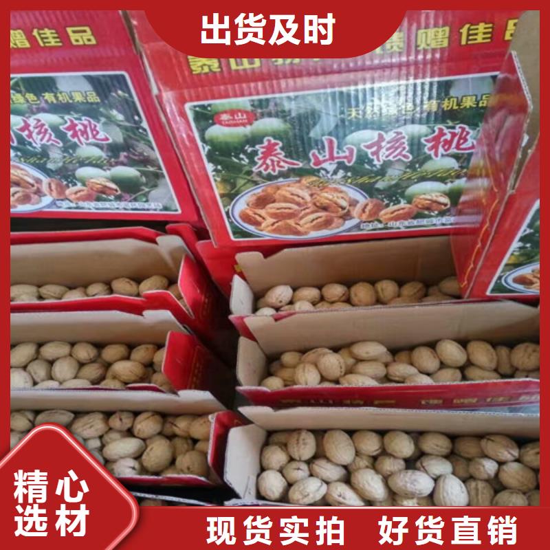 核桃苗蘋果苗源頭廠家