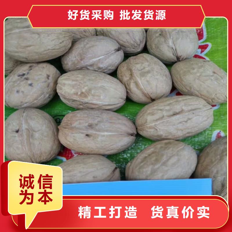 核桃苗蘋果苗量大更優(yōu)惠