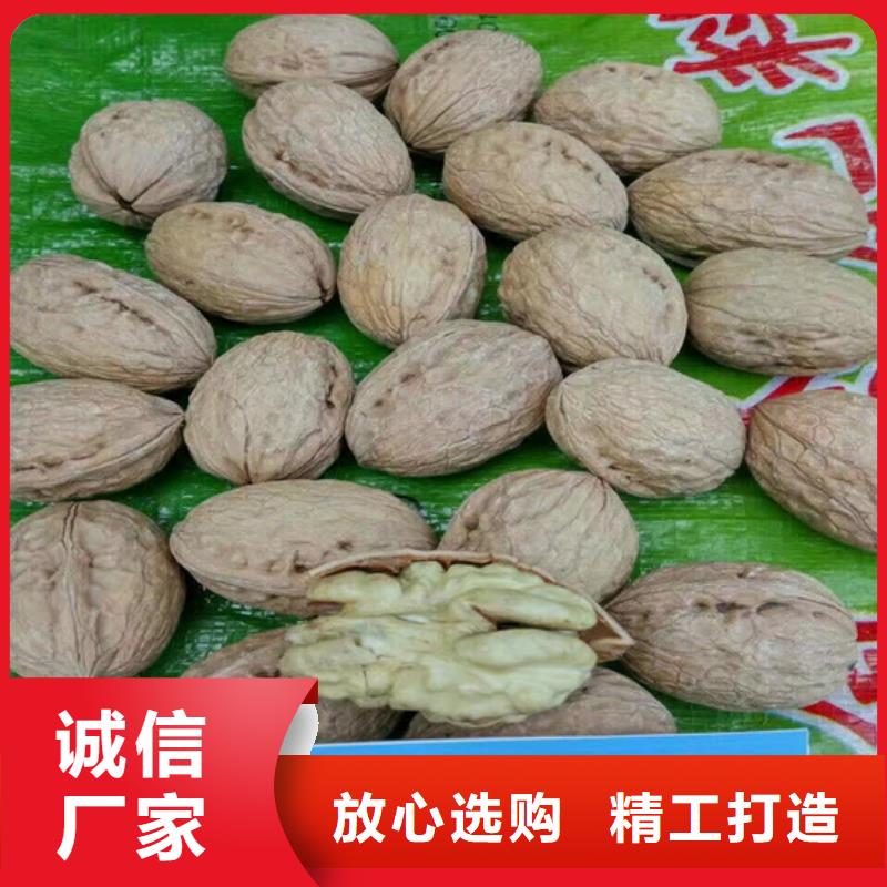 核桃苗,草莓苗價格真材實料加工定制