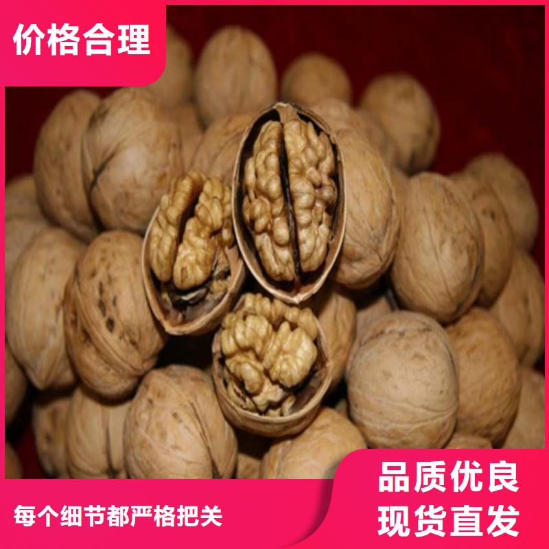 核桃苗果樹苗老品牌廠家