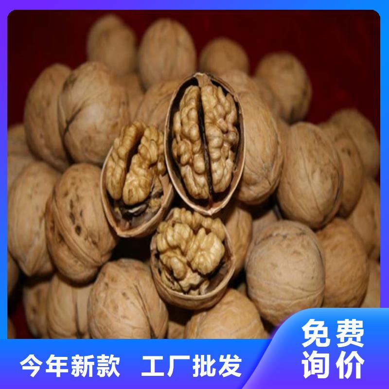 核桃苗蘋果苗基地用心服務