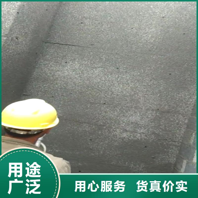 砂漿噴涂機(jī)-混凝土輸送泵源頭廠家供應(yīng)
