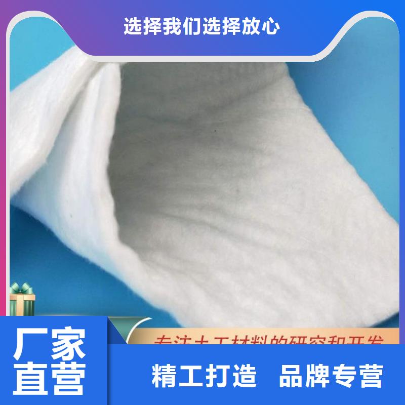 土工布防水膜生產(chǎn)廠家