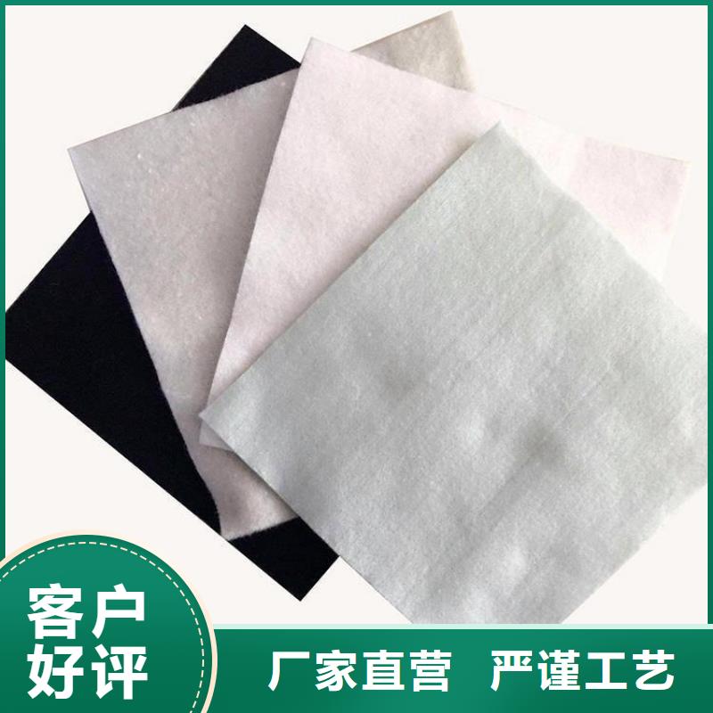 土工布土工格柵常年出售