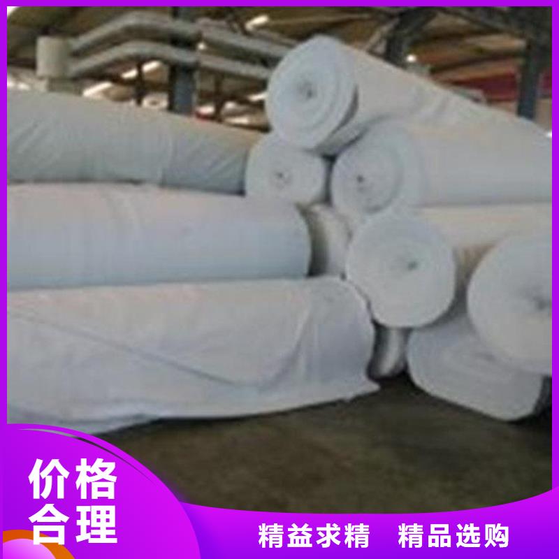 土工布植草格工廠自營