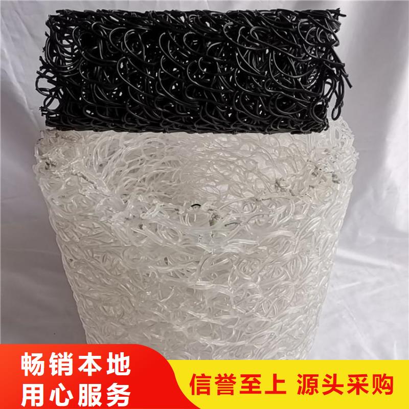 塑料盲溝土工格柵做工細致
