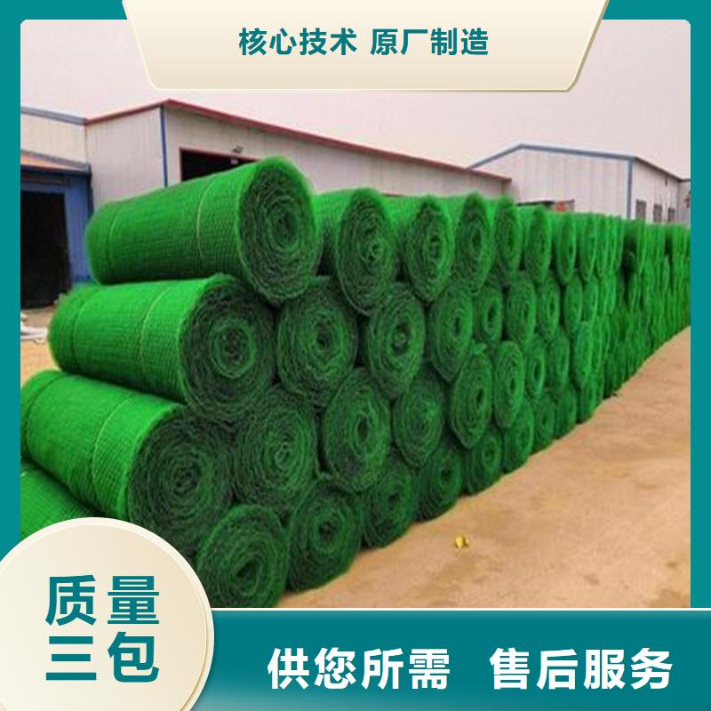 三維植被網(wǎng)-防水板可定制