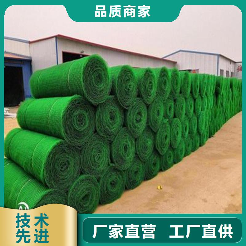 三維植被網土工格柵廠家直銷