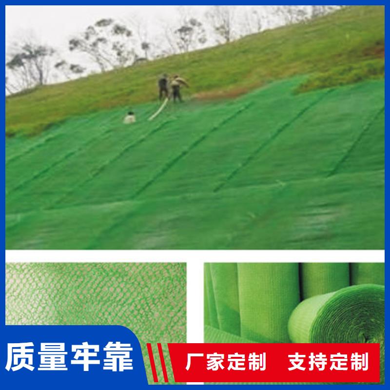 三維植被網防草布匠心品質