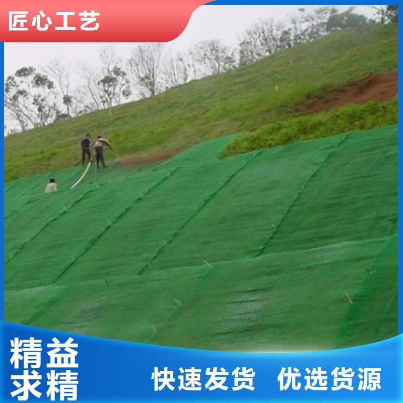 三維植被網防草布匠心品質