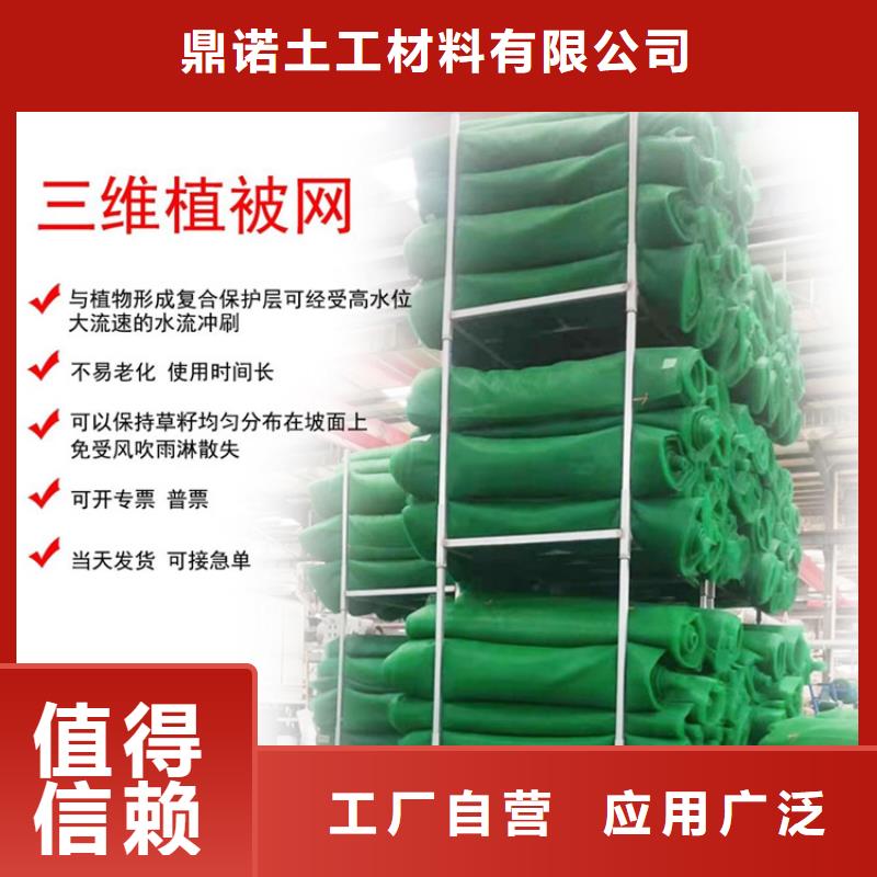 三維植被網,防草布用品質說話