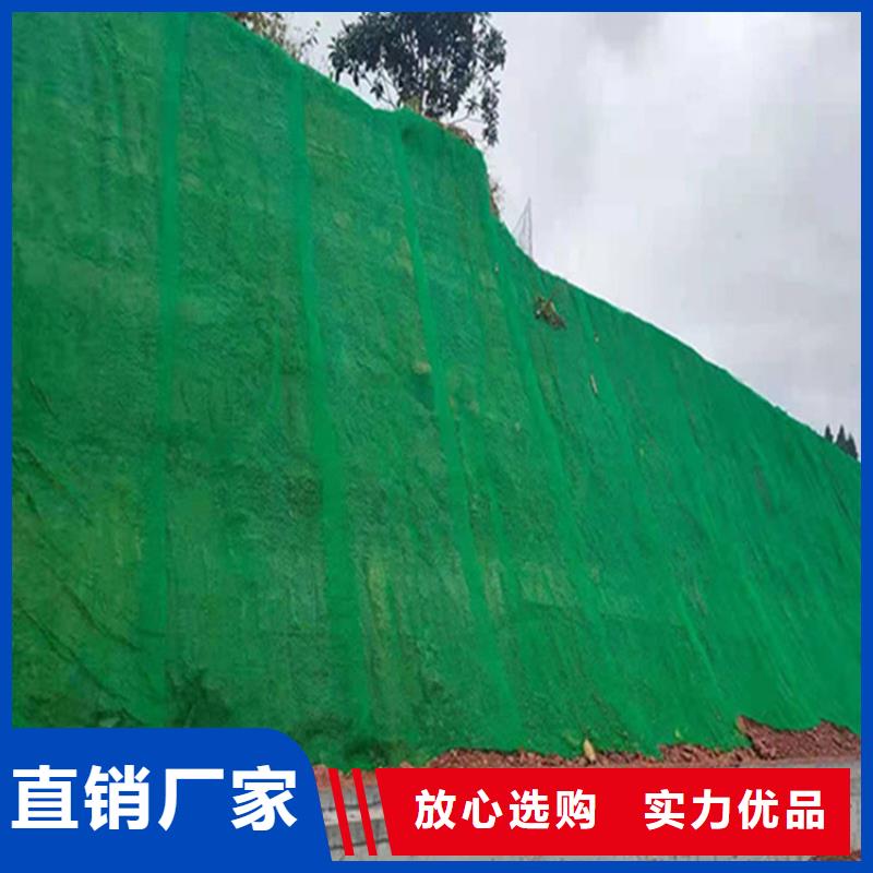 三維植被網水泥毯海量現貨直銷