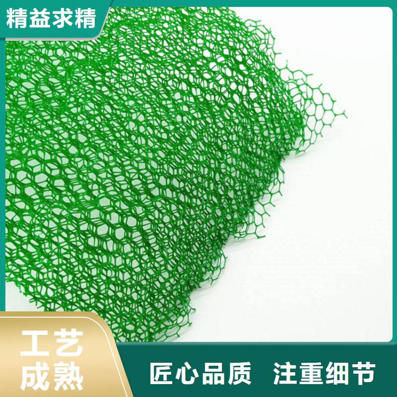 三維植被網-防水板可定制