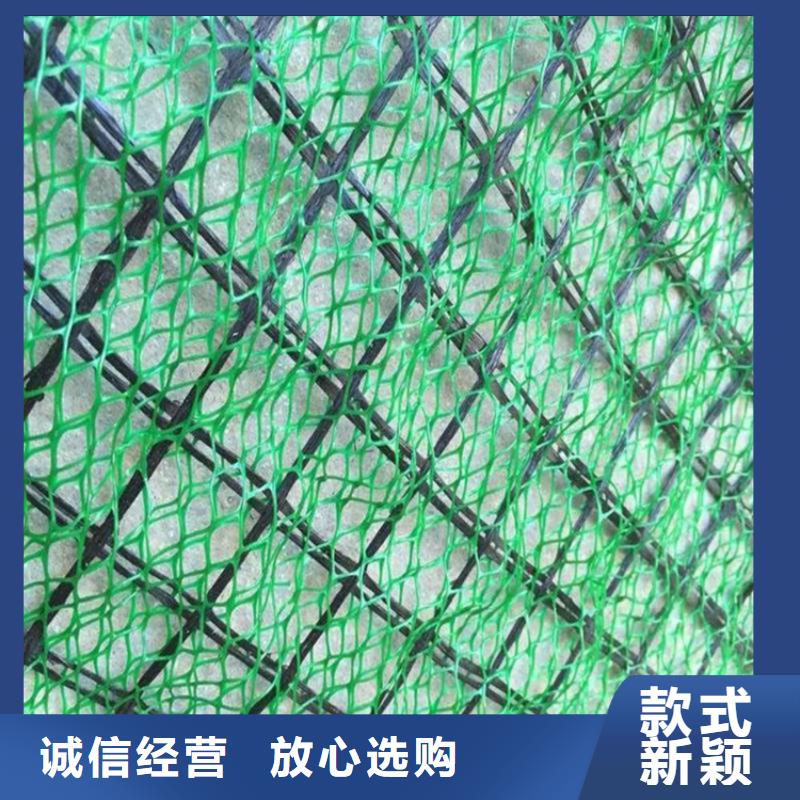 三維植被網水泥毯海量現貨直銷