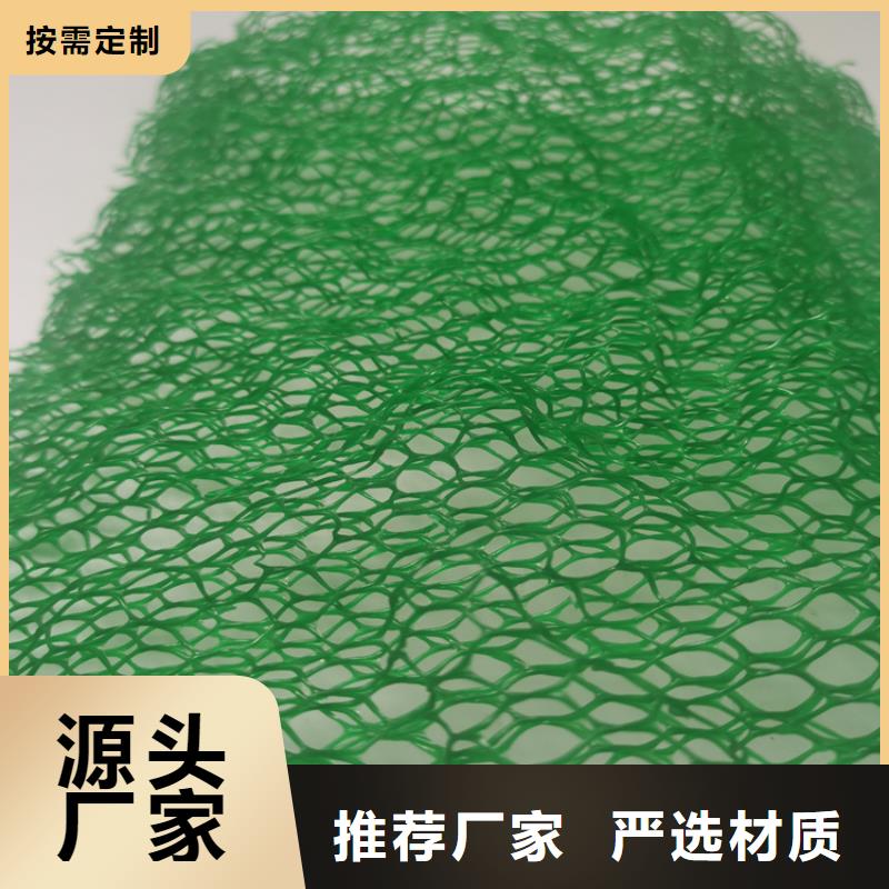 三維植被網【塑料排水板】超產品在細節