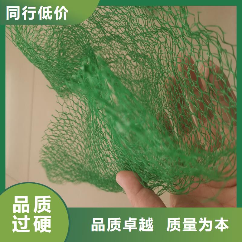 三维植被网防渗膜的图文介绍