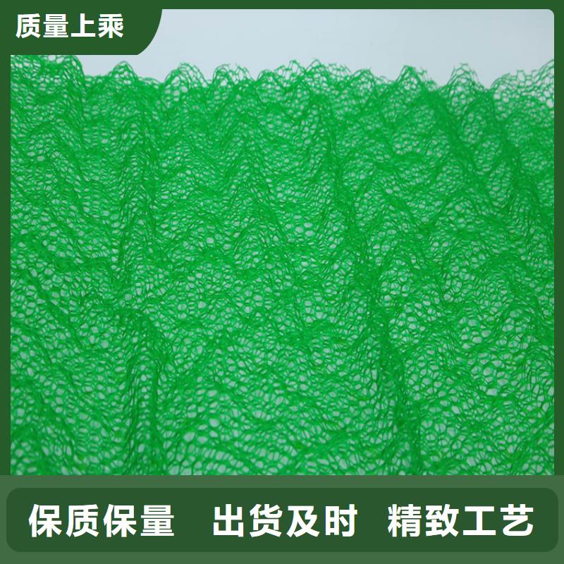 优选【鼎诺】【三维植被网】防水板实体厂家大量现货