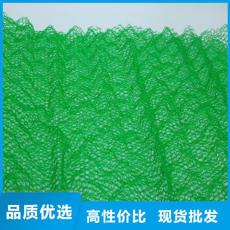 三维植被网软式透水管厂家定制
