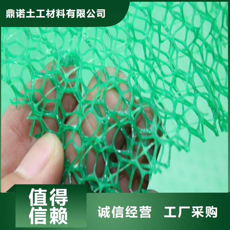 塑料草皮三维植被网