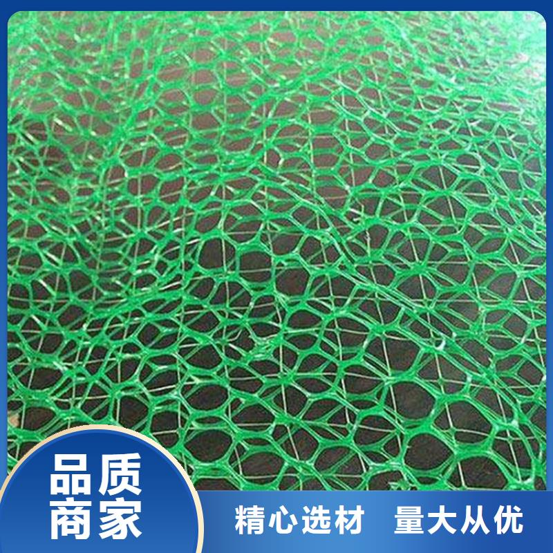三维植被网HDPE土工膜拥有多家成功案例