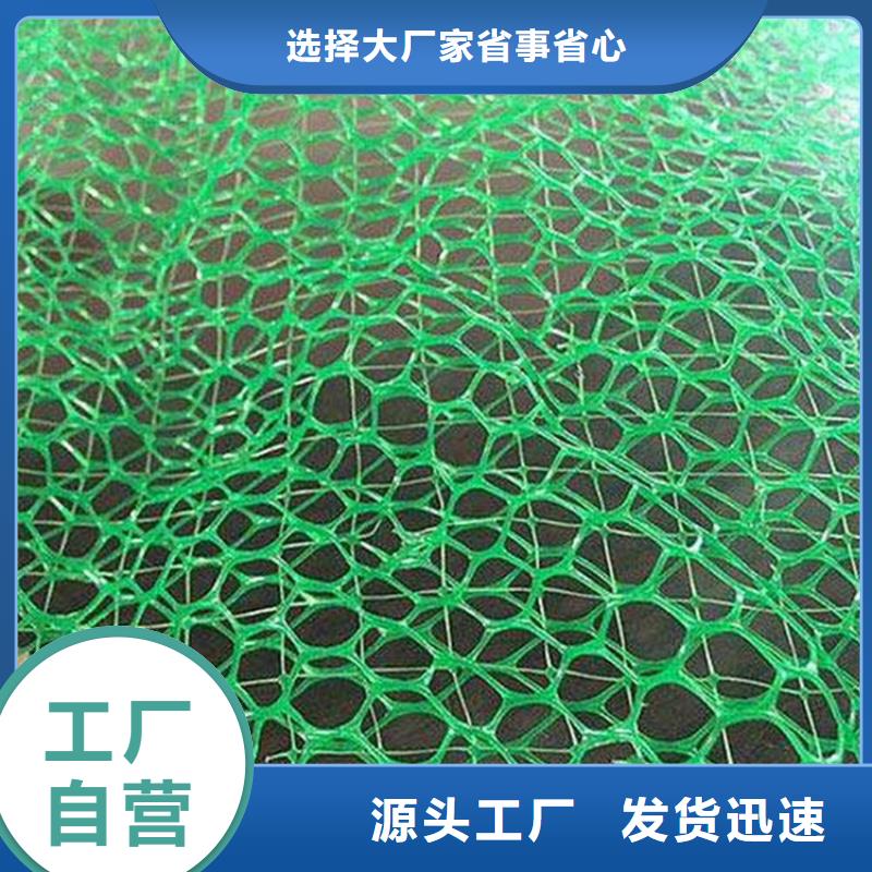 追求细节品质(鼎诺)三维植被网HDPE土工膜自有厂家