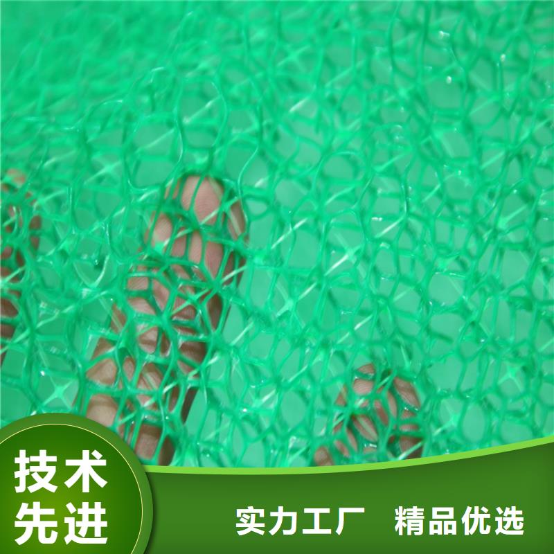 甘肃买(鼎诺)三维护坡植草网垫塑料草皮