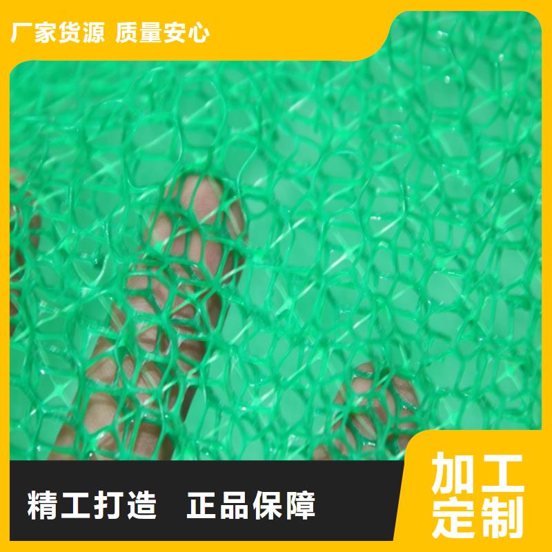 优选【鼎诺】【三维植被网】防水板实体厂家大量现货