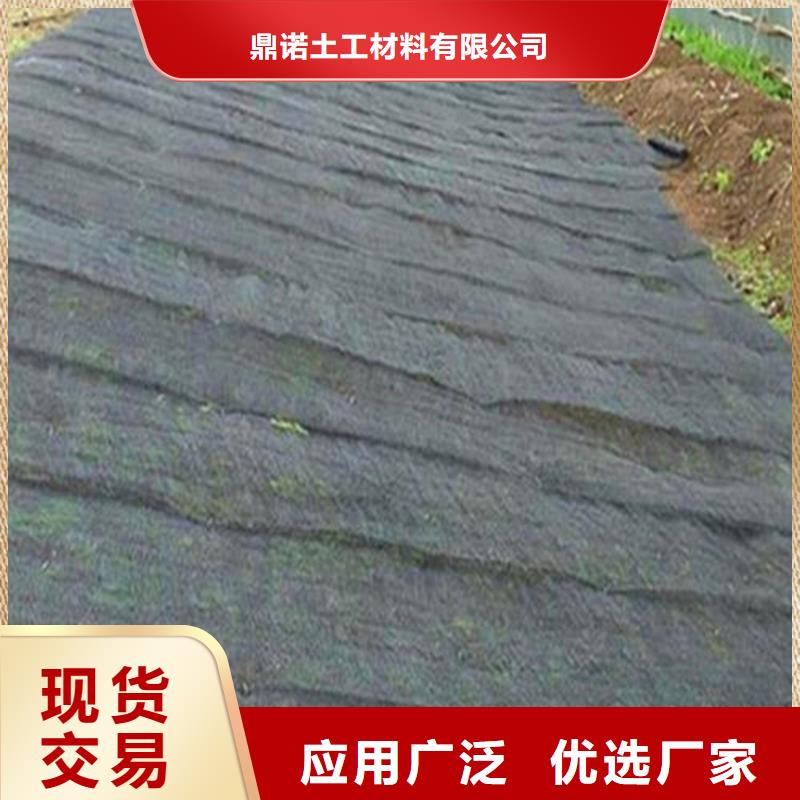 购买[鼎诺]水土保护毯,土工布专业生产制造厂