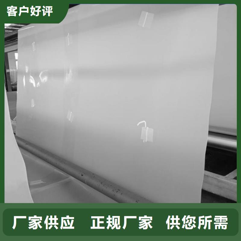 【防水板-土工格柵庫存量大】