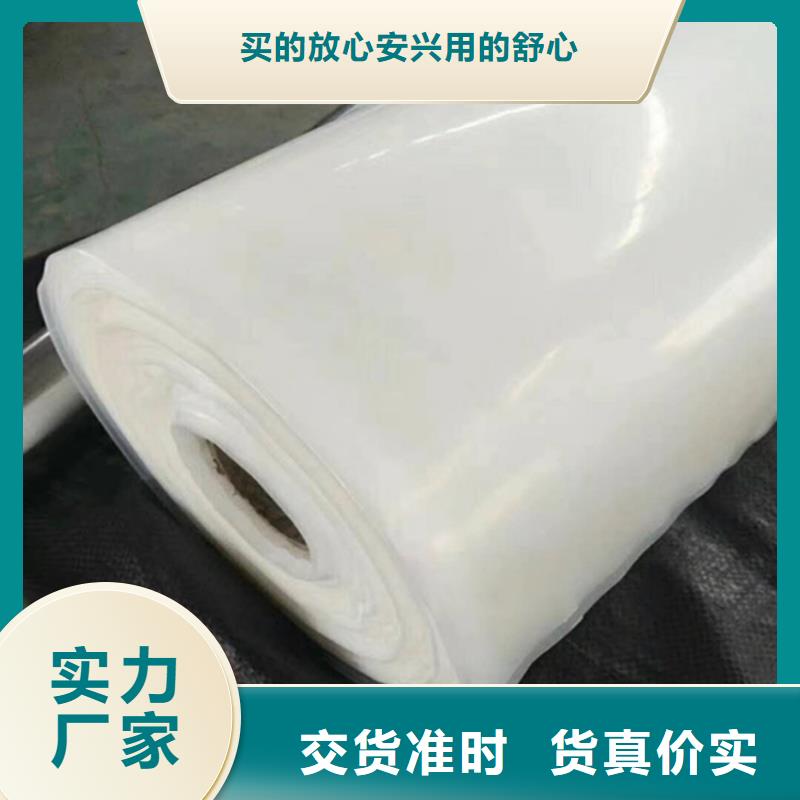 防水板膨潤土防水毯產地廠家直銷