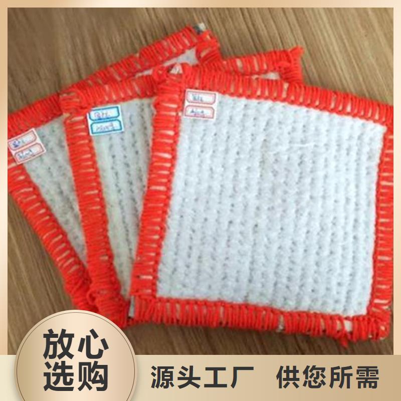 买【鼎诺】膨润土防水毯HDPE土工膜支持加工定制