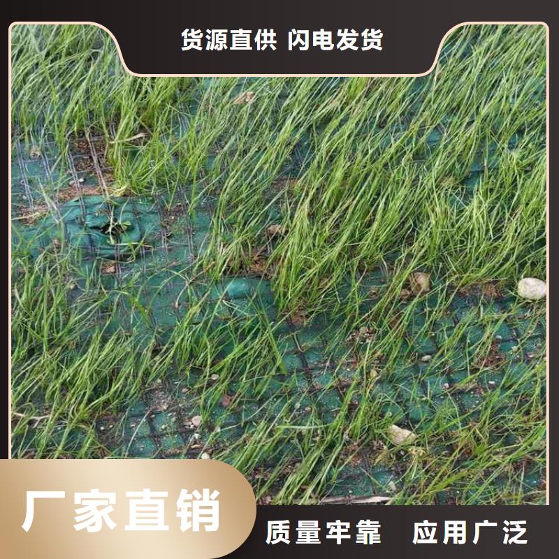 椰絲毯土工膜自有廠家