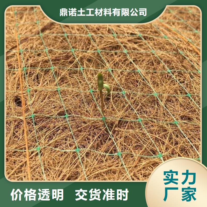 常年供应[鼎诺]护坡植被植草毯经销代理