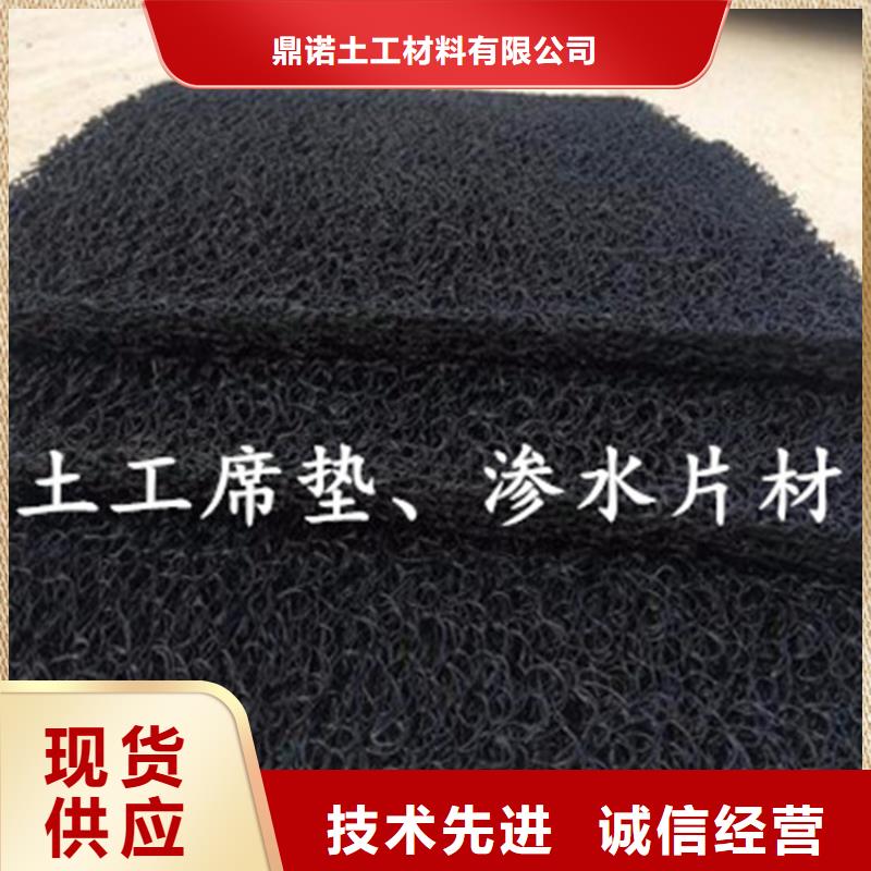 土工席墊_【植草格】廠家直銷直供