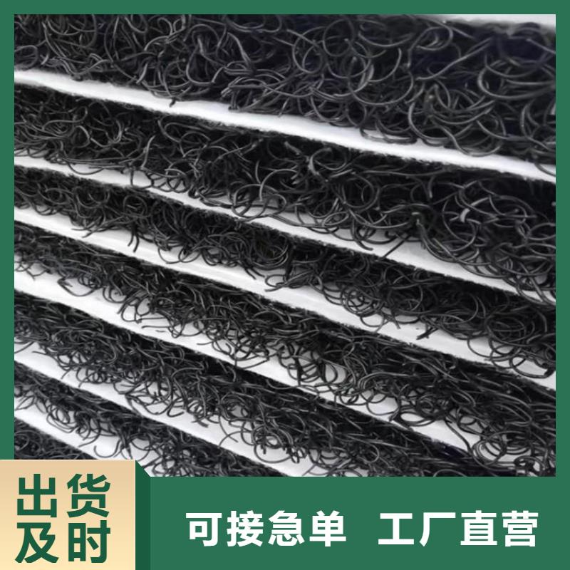 土工席墊_【植草格】廠家直銷直供